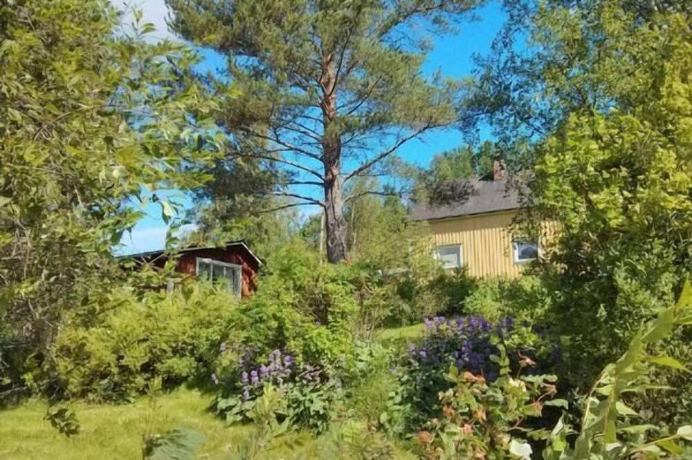 Photo of Outdoor in Ramvik