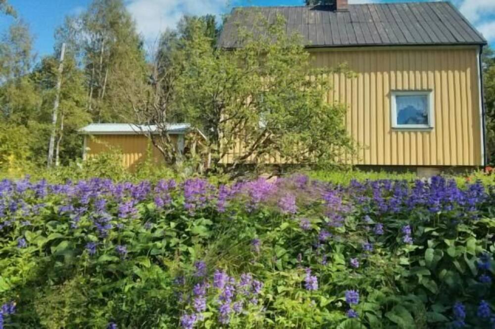 Photo of Outdoor in Ramvik