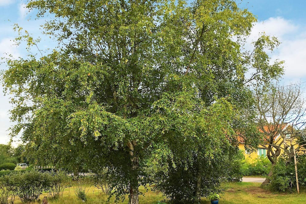 Photo of Others in Haverdal