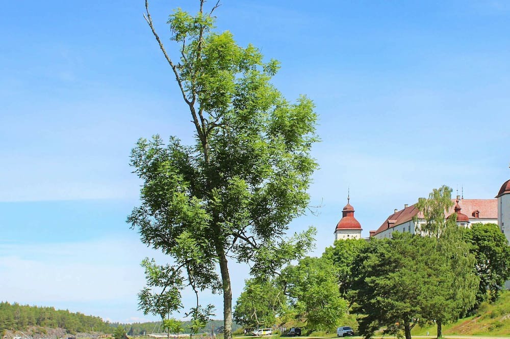 Photo of Others in Otterstad