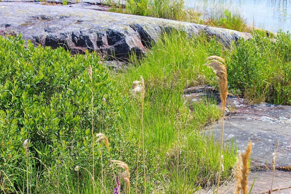 Photo of Outdoor in Otterstad