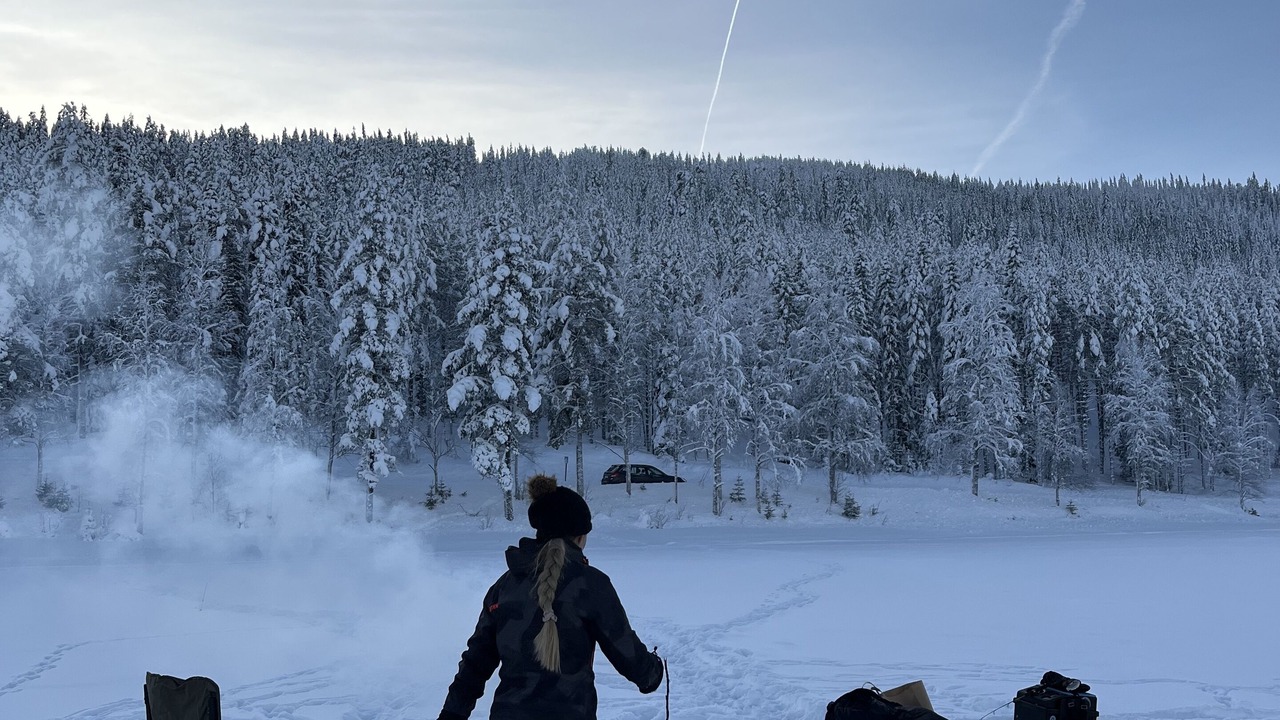 Photo of Others in Alvdalen