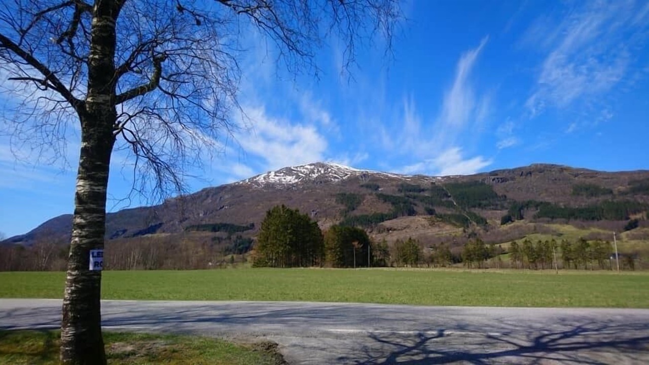 Photo of Outdoor in Vindafjord