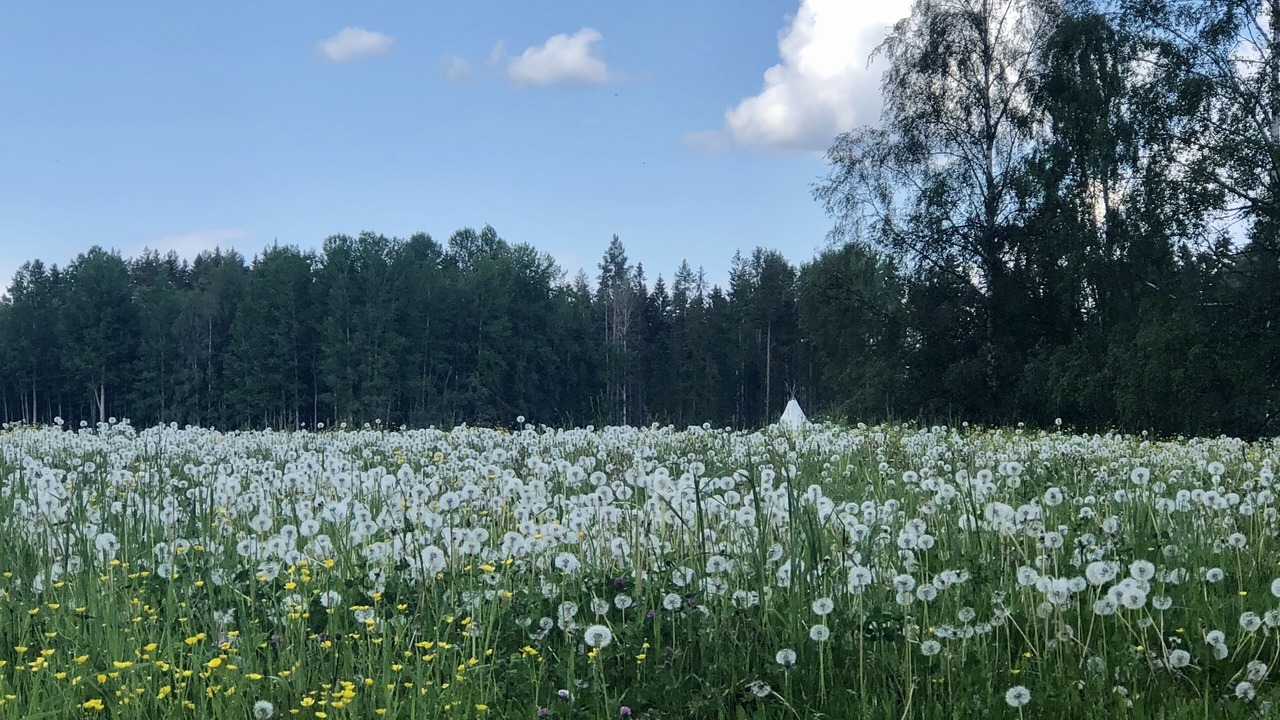 Photo of Others in Avesta