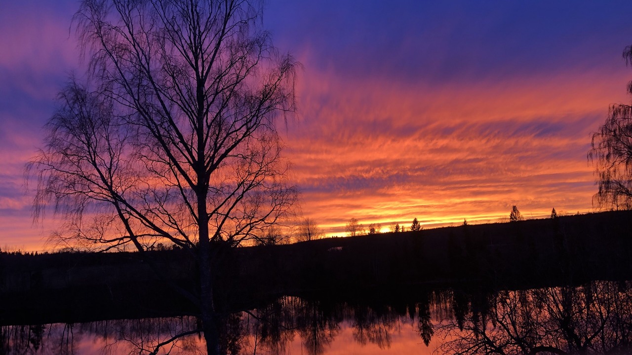 Photo of Others in Avesta