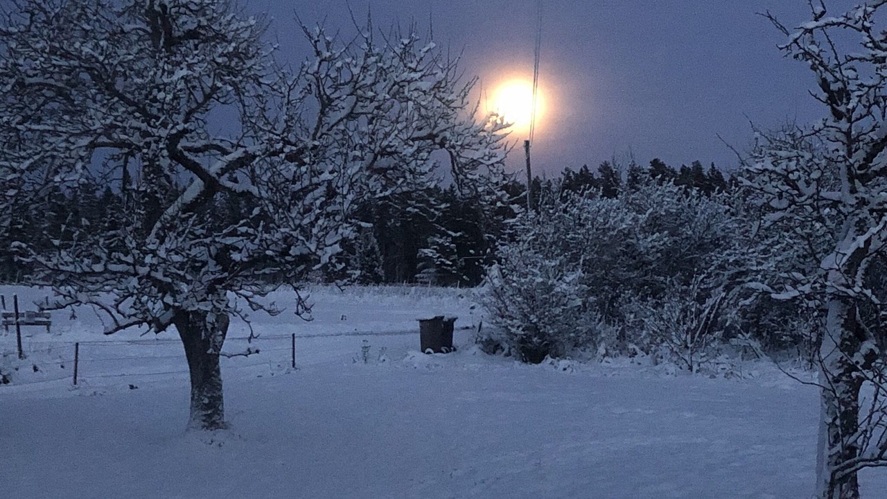 Photo of Others in Avesta