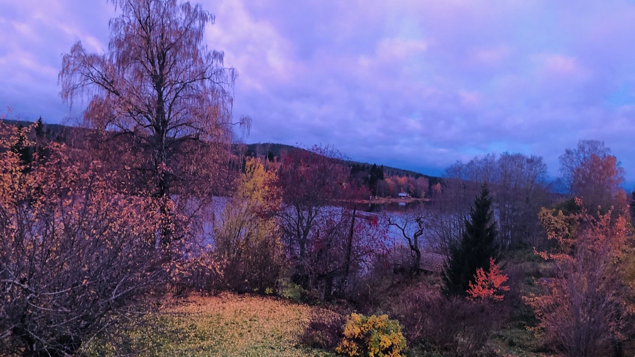 Photo of Others in Avesta
