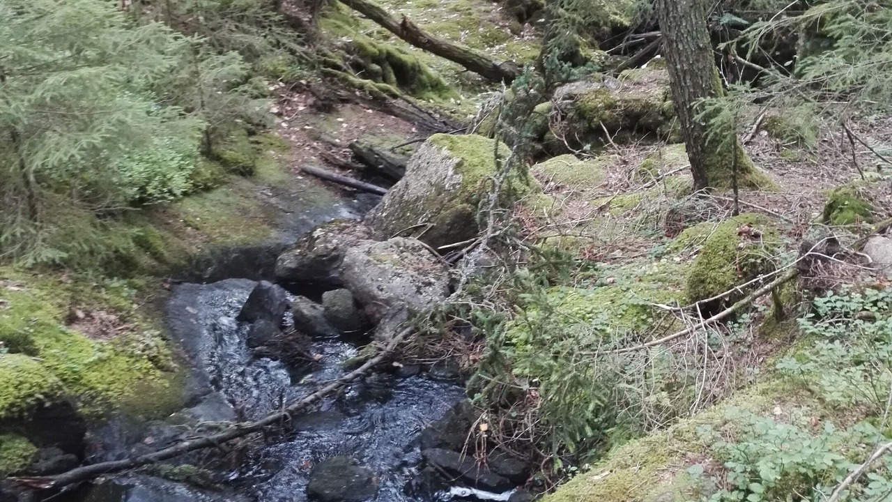 Photo of Outdoor in Alvsered