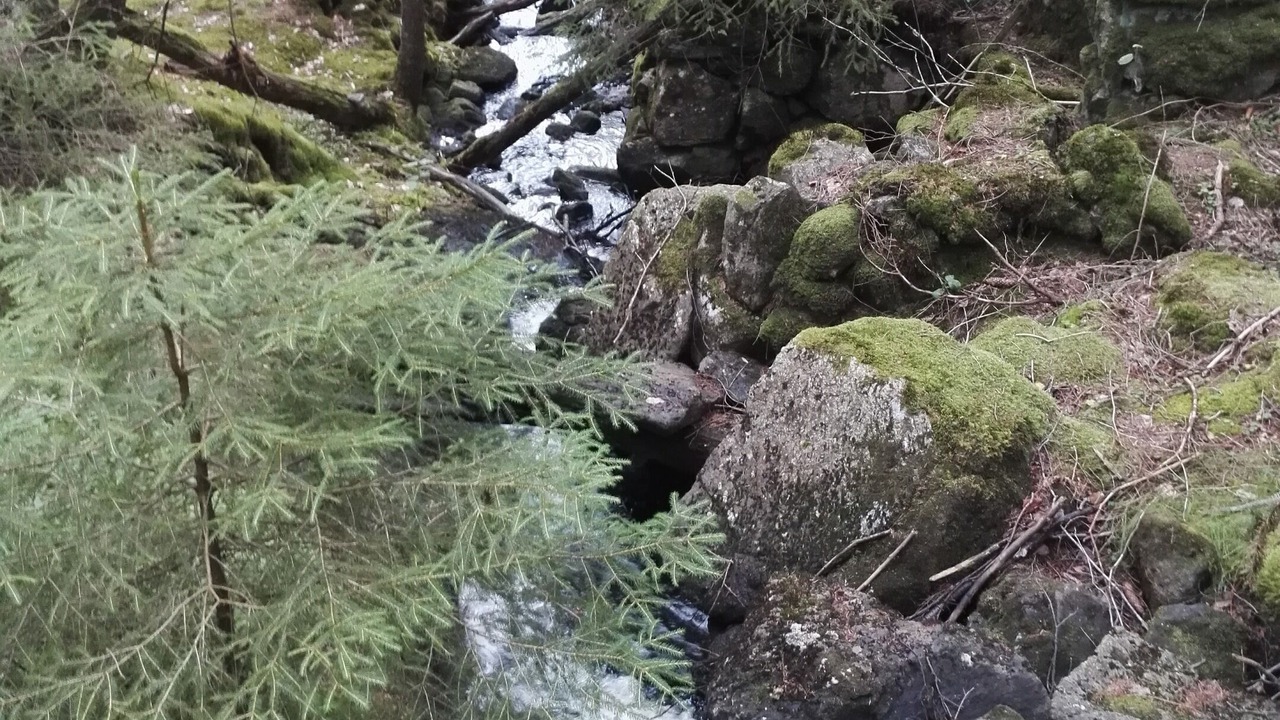 Photo of Outdoor in Alvsered