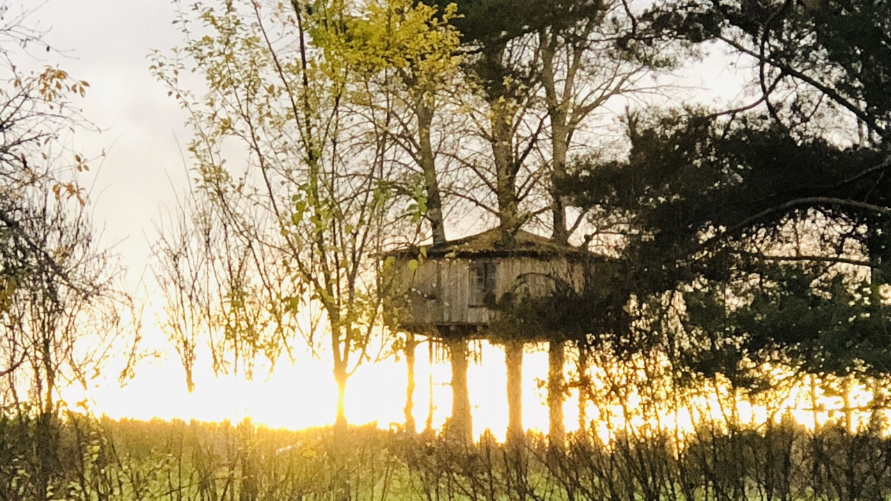 Photo of Outdoor in Avesta