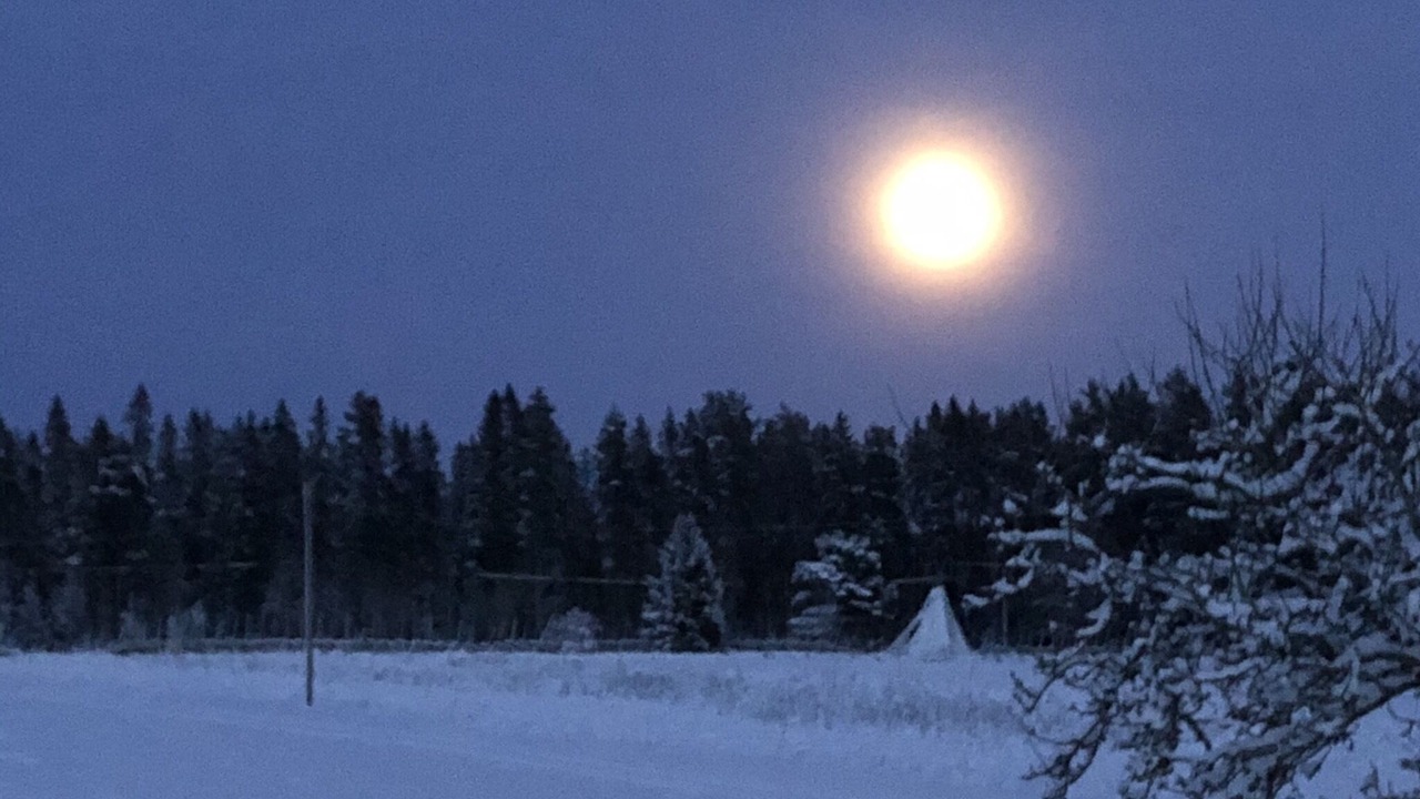 Photo of Others in Avesta