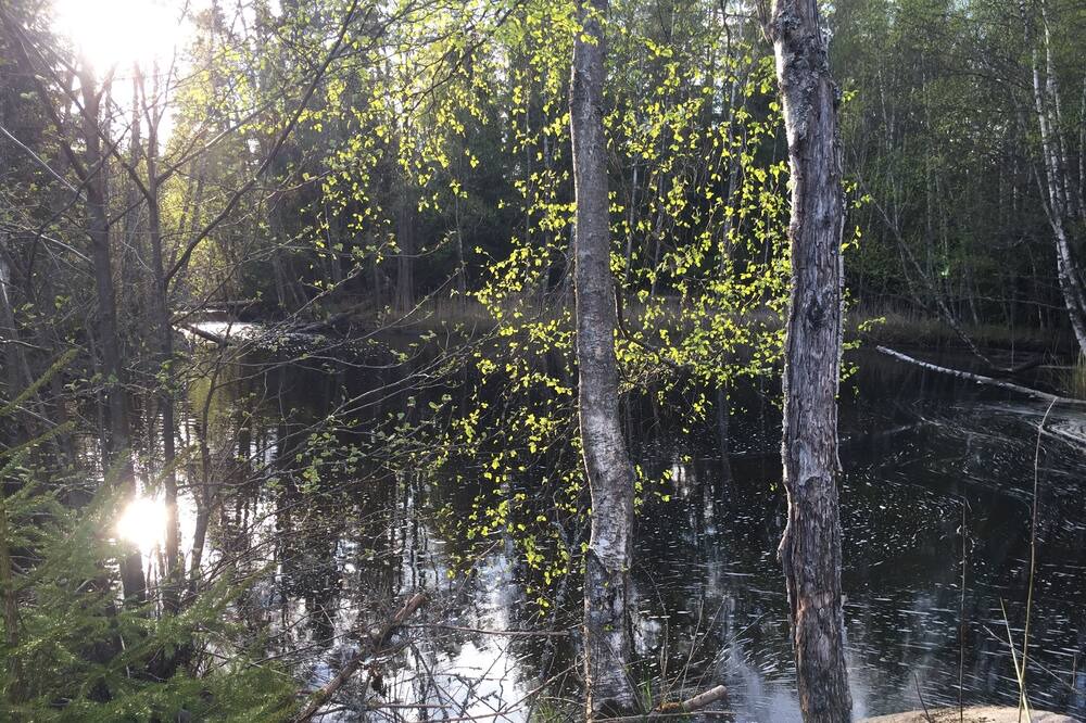 Photo of Outdoor in Lessebo Municipality