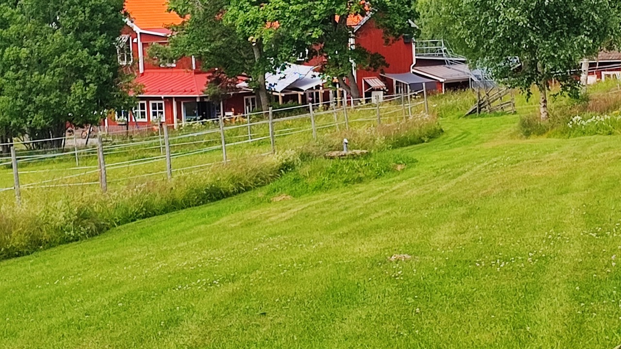 Photo of Outdoor in Leksand