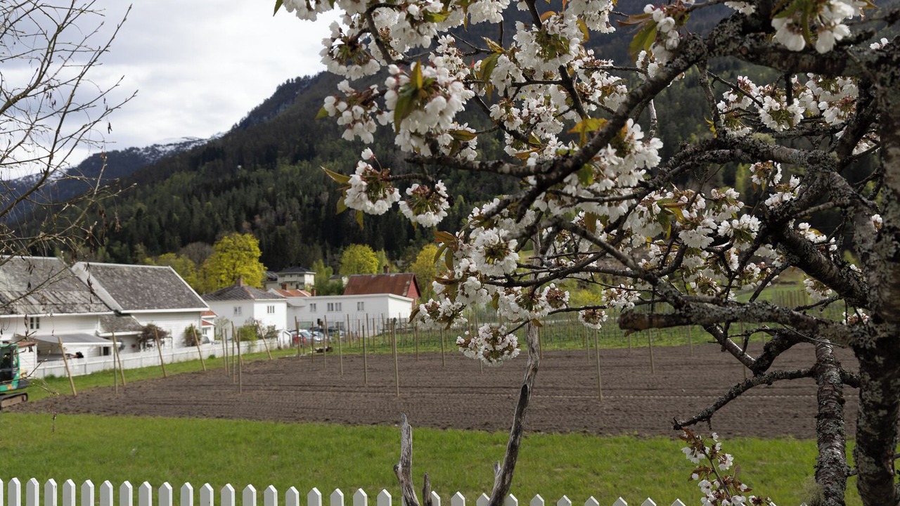 Photo of Outdoor in Solvorn