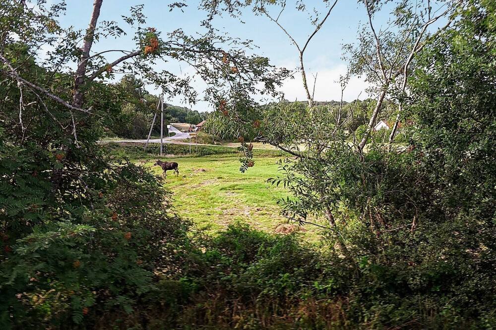 Photo of Outdoor in Nosund