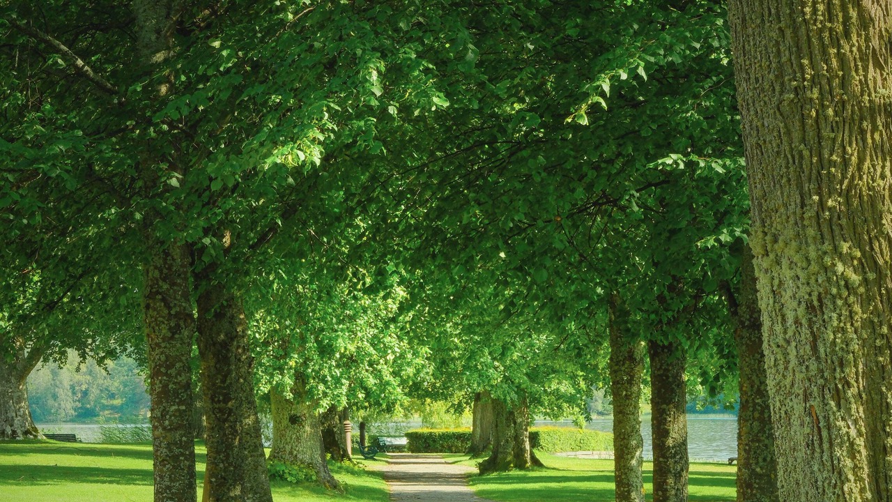 Photo of Outdoor in Mariefred