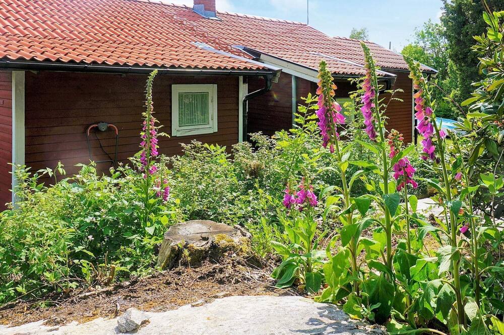 Photo of Others in Sundsandvik