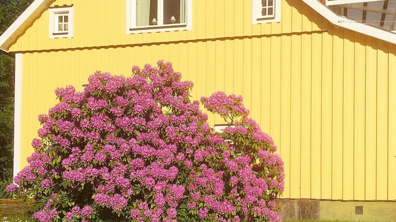 Photo of Outdoor in Overum