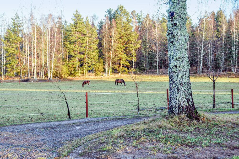 Photo of Bedroom in Klassbol