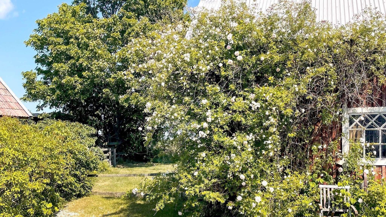 Photo of Outdoor in Vastergarn