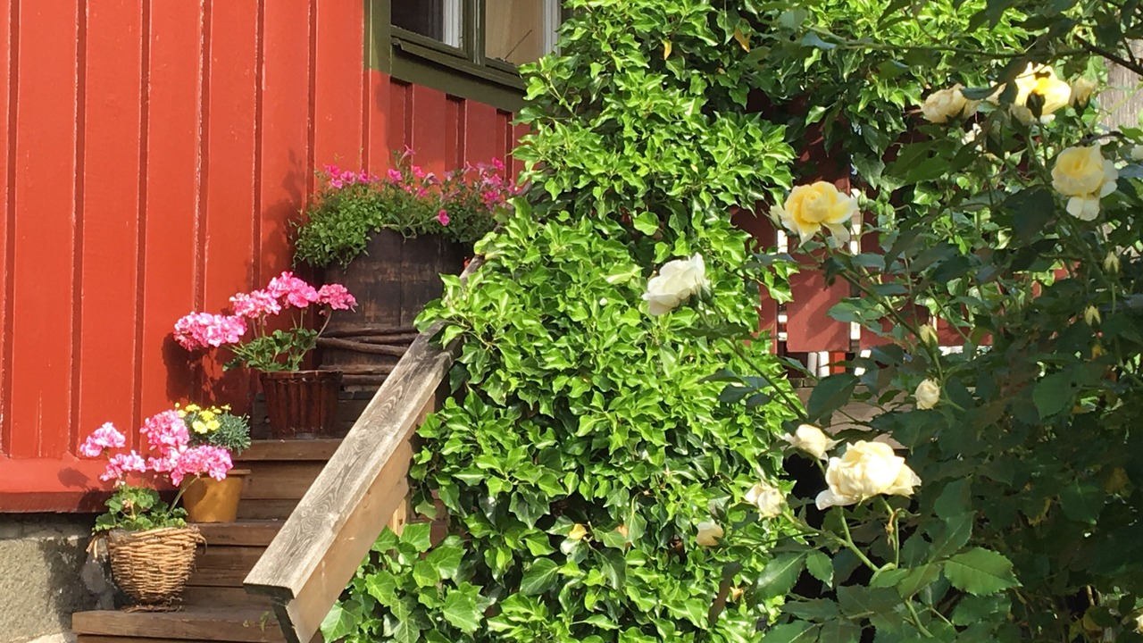 Photo of Outdoor in Centrum