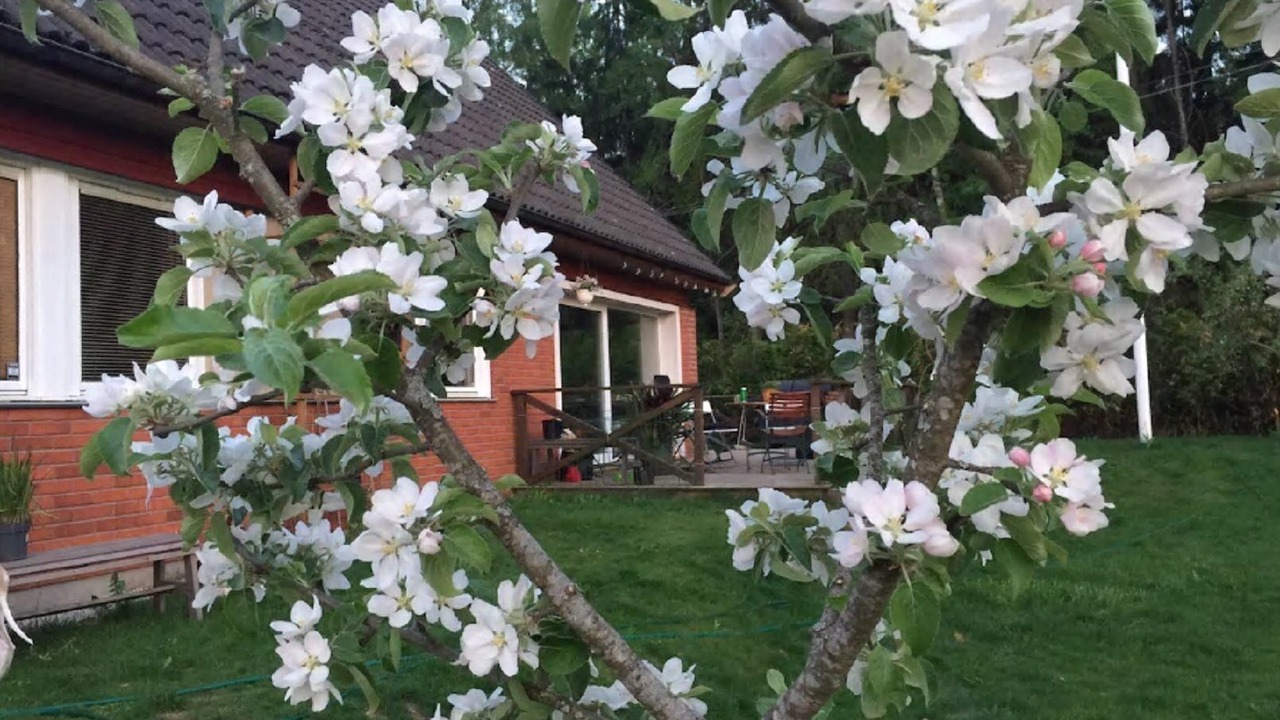 Photo of Outdoor in Uttran