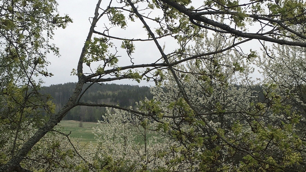 Photo of Outdoor in Enhorna