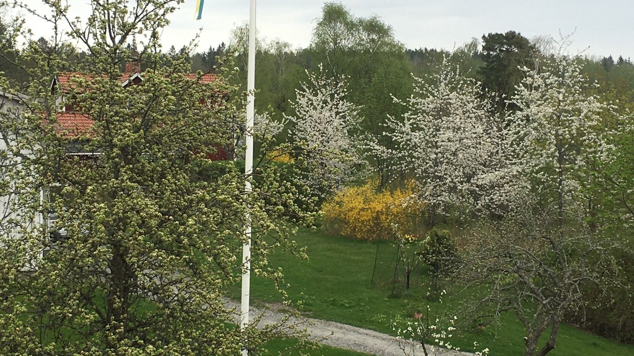 Photo of Outdoor in Enhorna