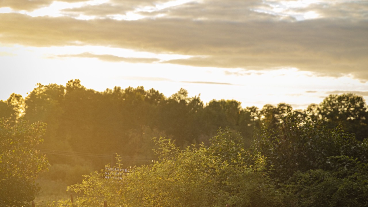 Photo of Outdoor in Varmdo