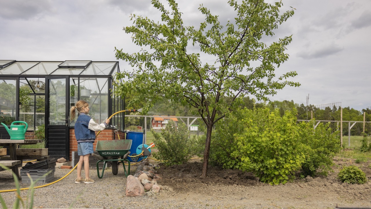Photo of Outdoor in Varmdo