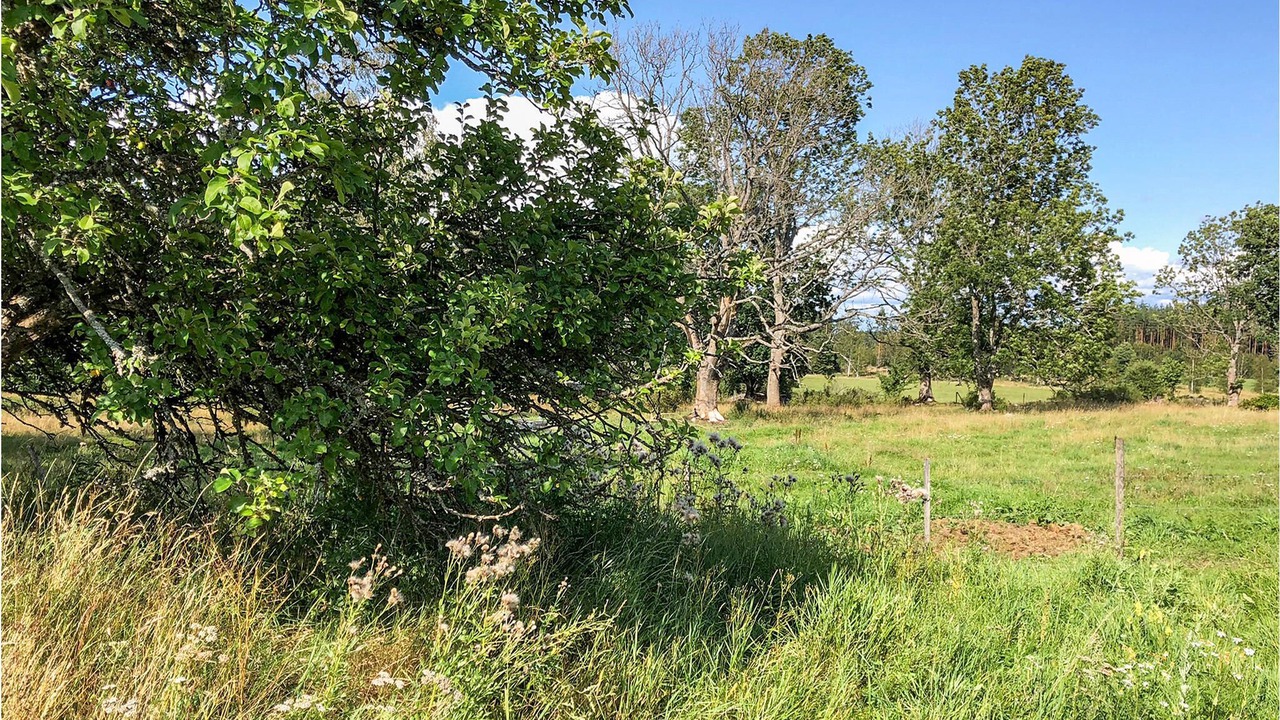 Photo of Outdoor in Aseda