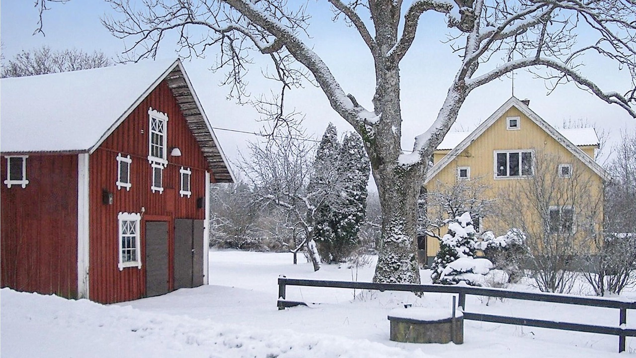 Photo of Outdoor in Aseda