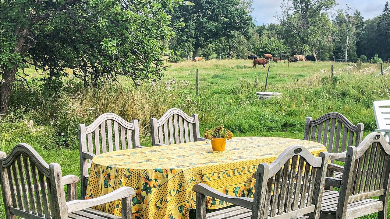 Photo of Outdoor in Aseda