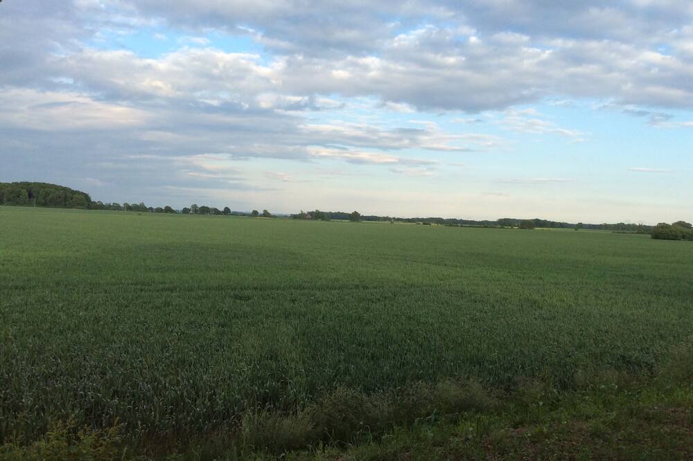 Photo of Outdoor in Allerum