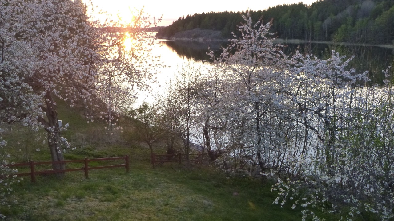 Photo of Outdoor in Gamleby