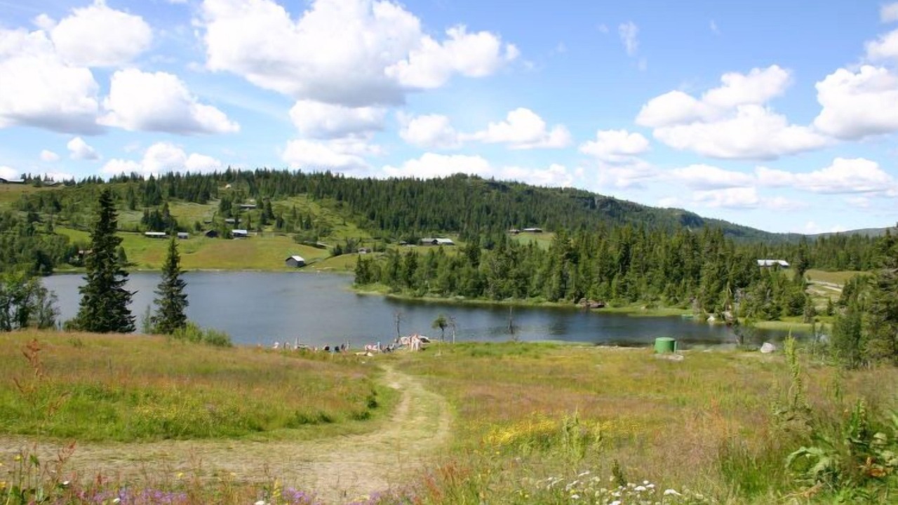 Photo of Others in Svingvoll