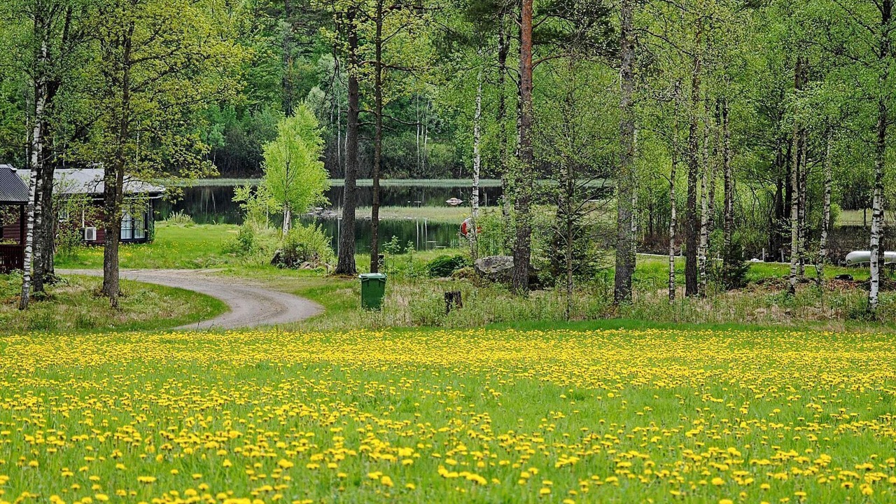 Photo of Outdoor in Hylte Municipality