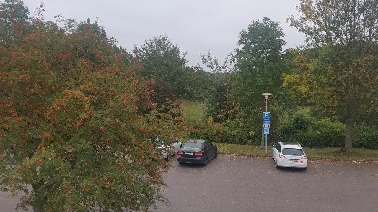 Photo of Others in Varberg