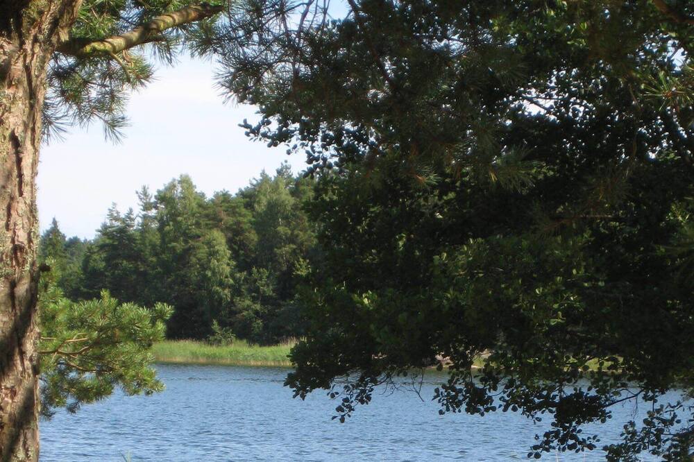 Photo of Outdoor in Tosse