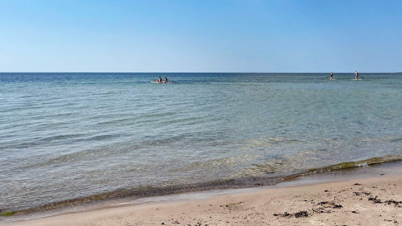 Photo of Others in Gotlands Tofta
