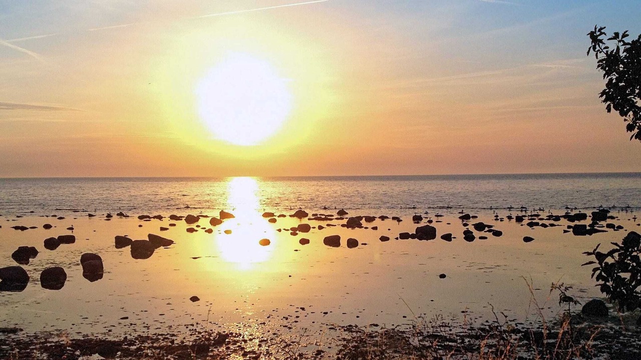 Photo of Others in Gotlands Tofta