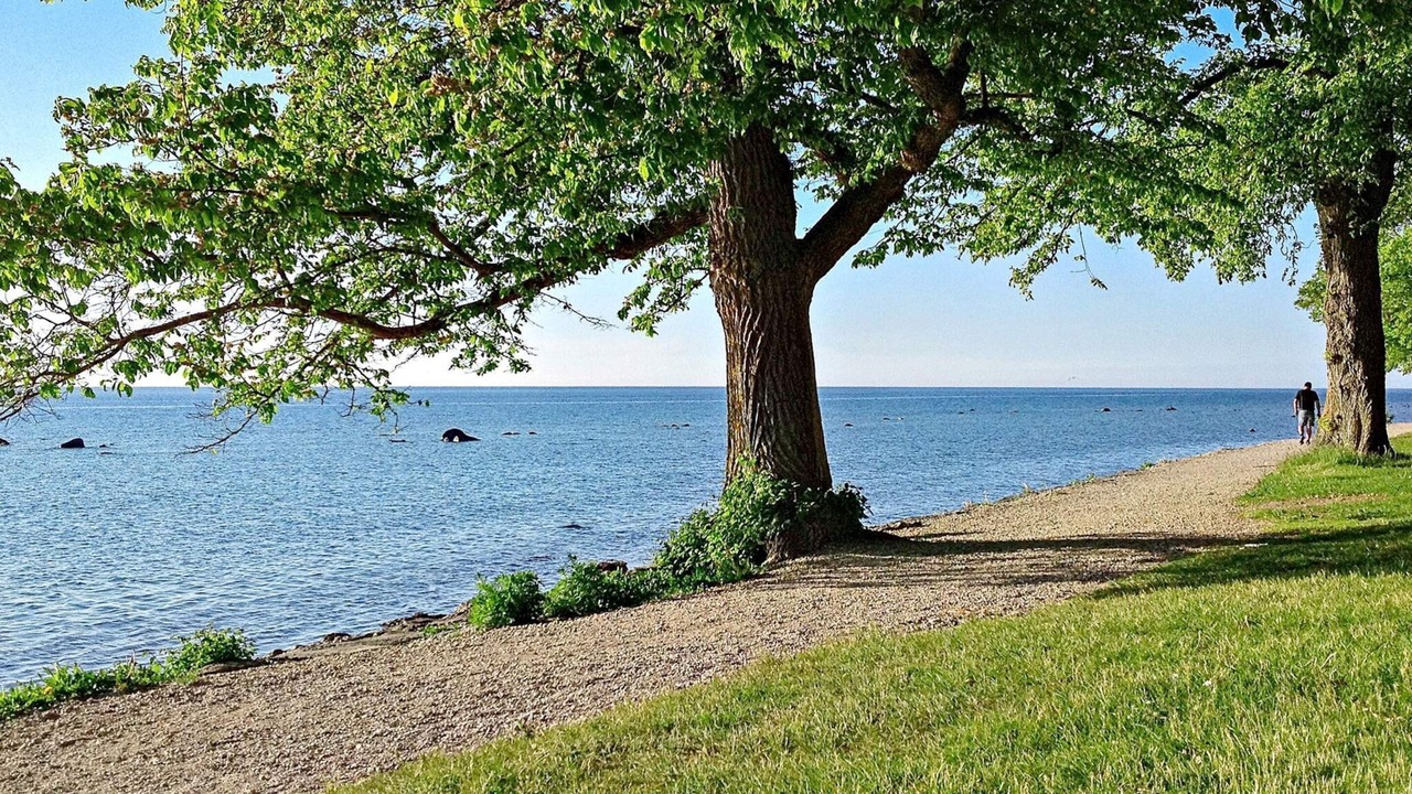 Photo of Others in Gotlands Tofta