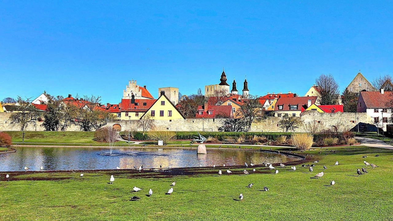 Photo of Others in Gotlands Tofta
