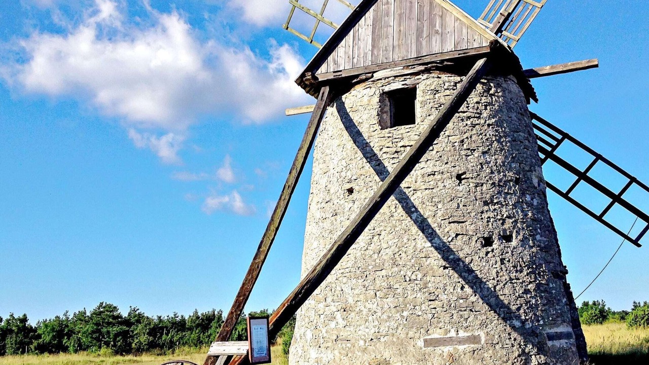 Photo of Others in Gotlands Tofta