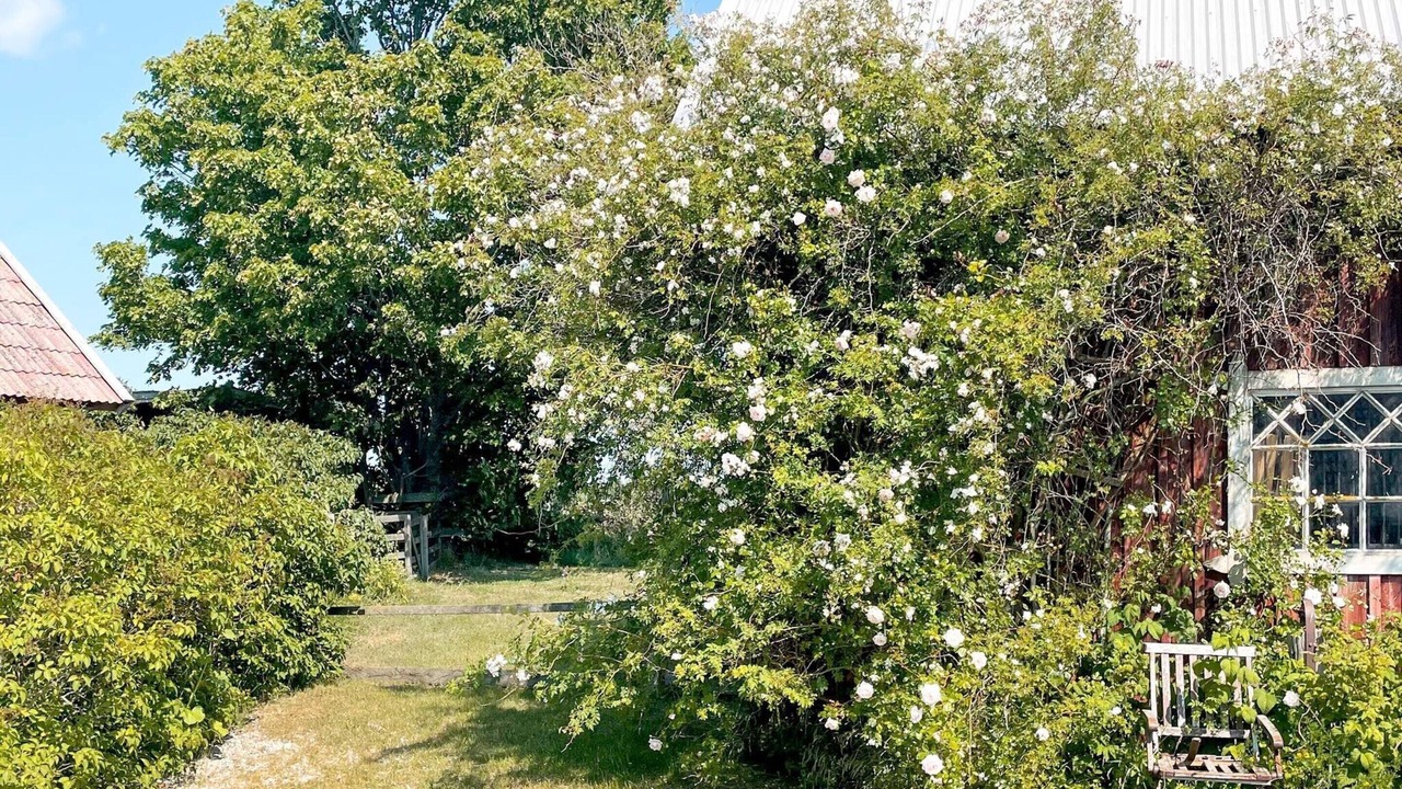 Photo of Outdoor in Gotlands Tofta