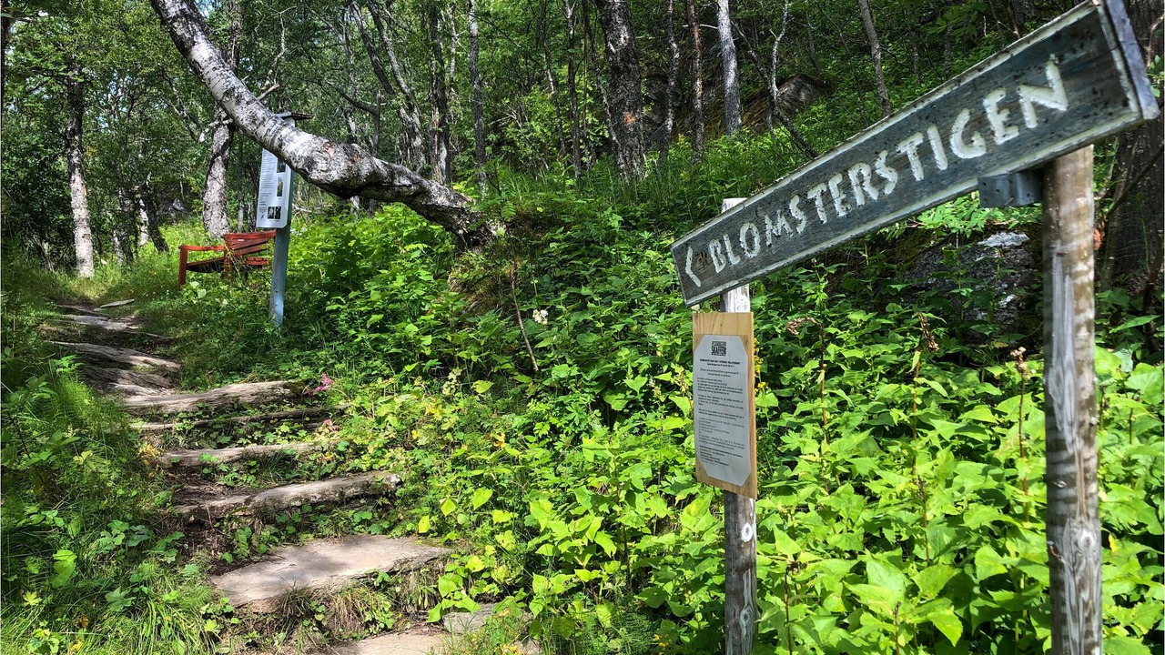 Photo of Outdoor in Storlien