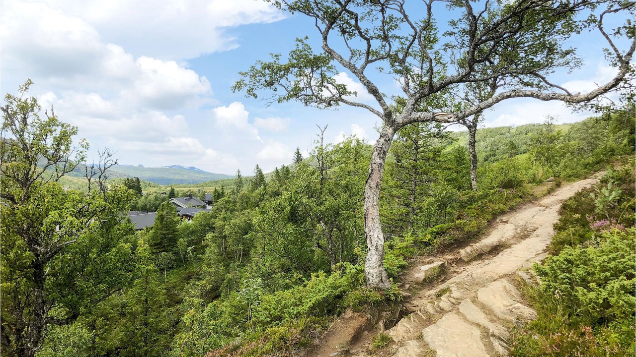 Photo of Outdoor in Storlien