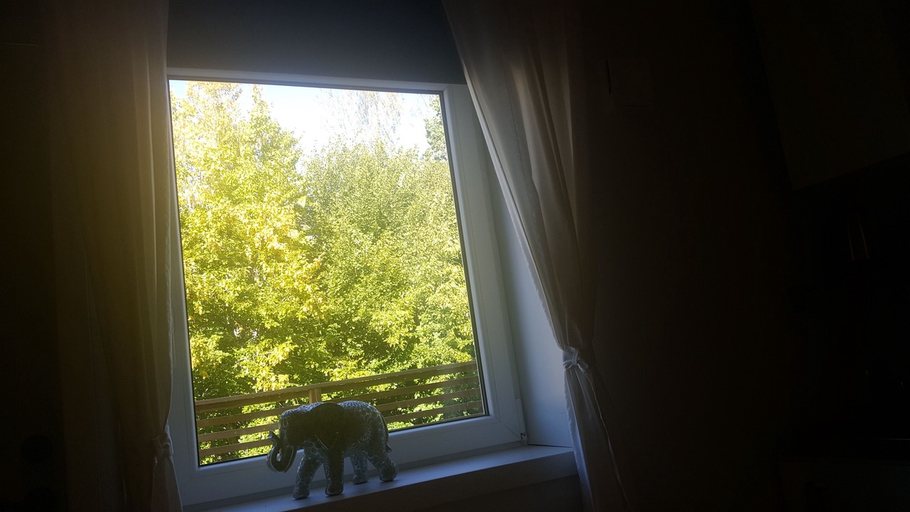 Photo of Outdoor in Sjotorp