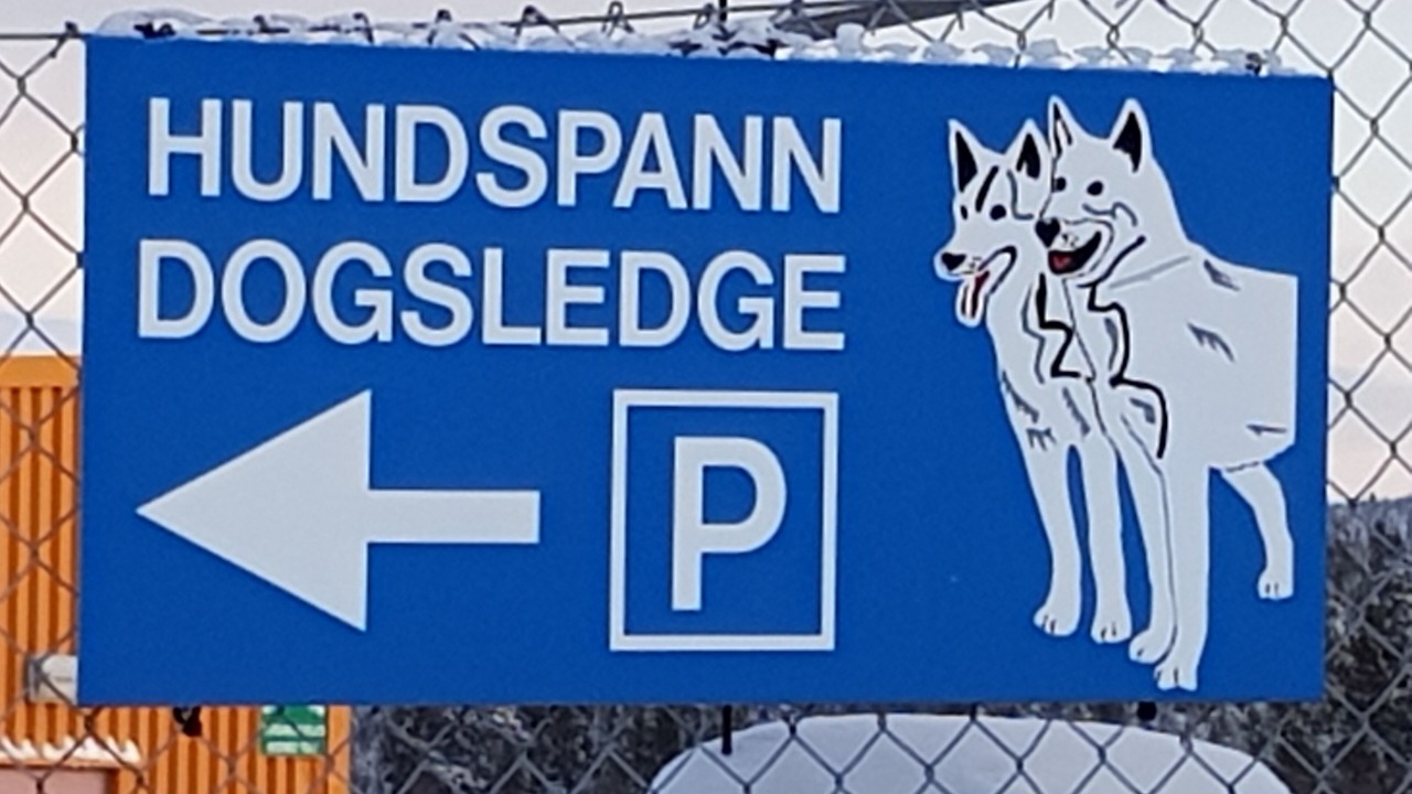Photo of Others in Kiruna