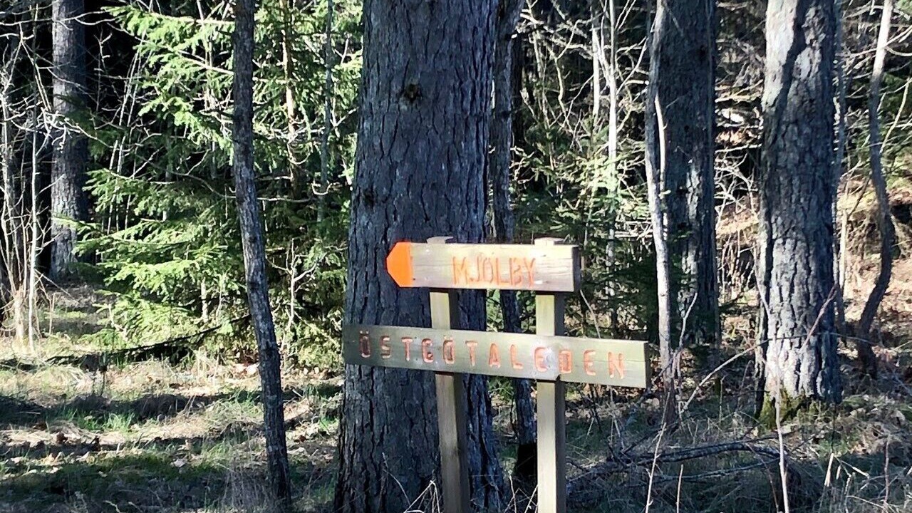 Photo of Outdoor in Mjolby Municipality